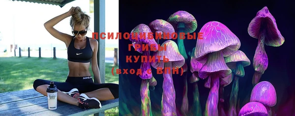 гидропоника Абдулино