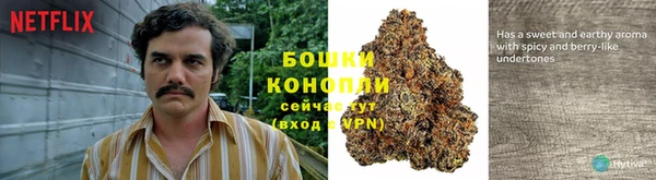 гидропоника Абаза